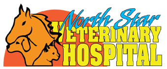 North Star Veterinary Hospital